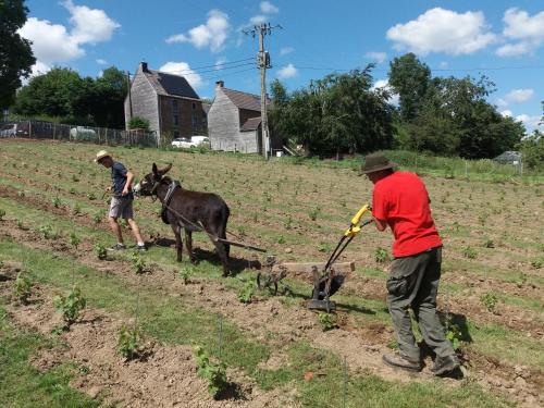 Le sentier des étangs