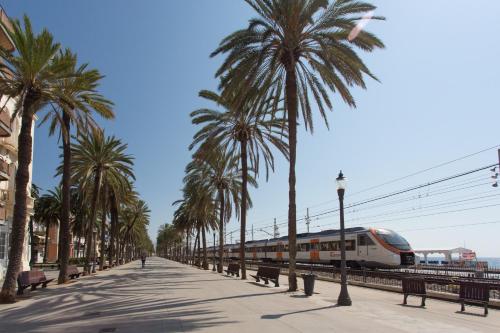 Hostal Solimar - image 4