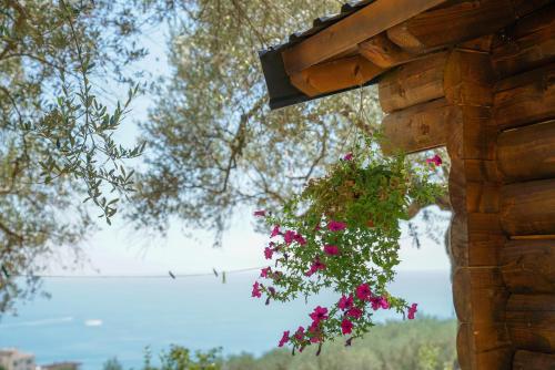 Holiday Park Olive Tree - main image