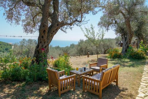 Holiday Park Olive Tree - image 11