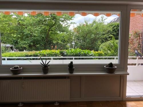 Backbord by WellenRausch - image 6
