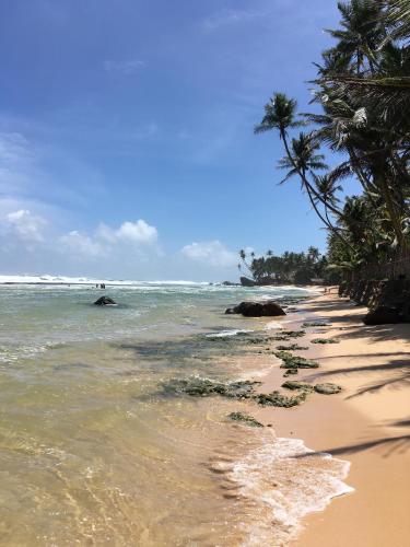 Coconut Treehouse- Villa near Unawatuna Beach - image 4