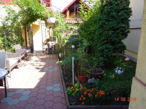 Pensiunea Magnolia - image 4