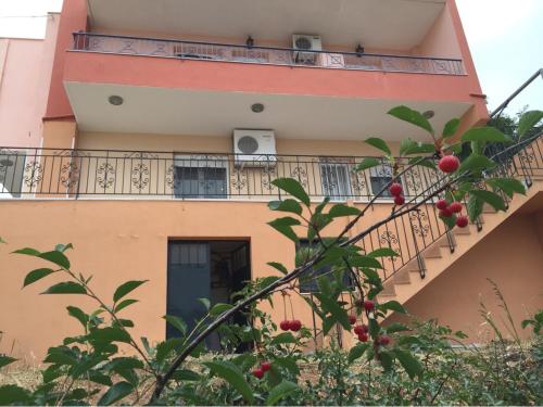  xanthippi in Varvásion