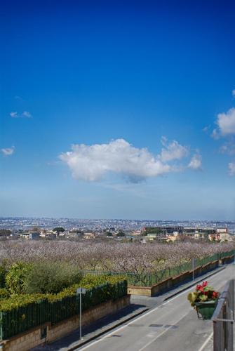 Bed and Breakfast Sommavesuvio