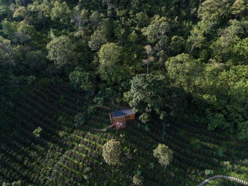 La Palma y El Tucan Coffee & Adventure Hotel