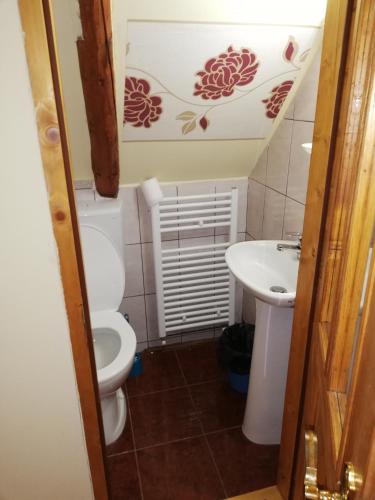 Cabana Ocna Mesaros