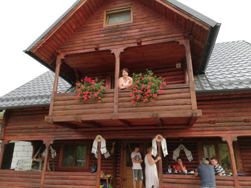 Cabana Ocna Mesaros - image 7