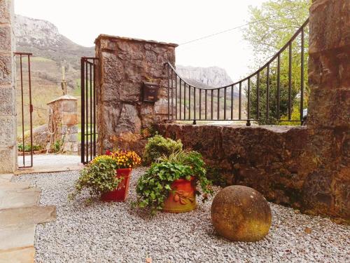 Finca Artienza - image 5
