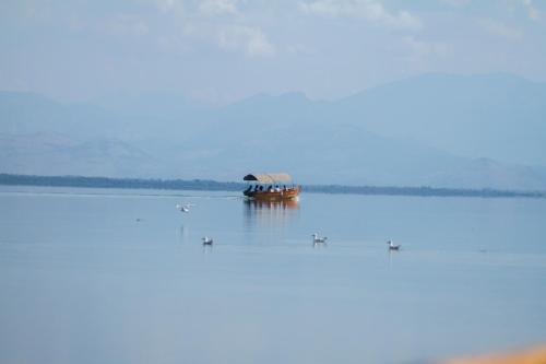 Vida`s house - image 4