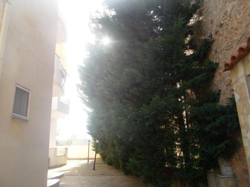  Filiatra Saperas apartment in Filiatra