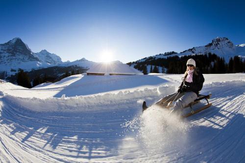 Amazing Apartment EIGER Grindelwald Room Type - Apartment with Mountain View