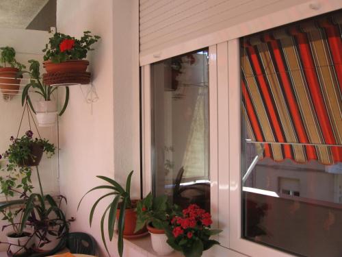 Apartments Rajna - image 11