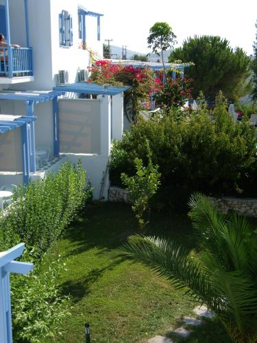 Panorama Paros - image 13