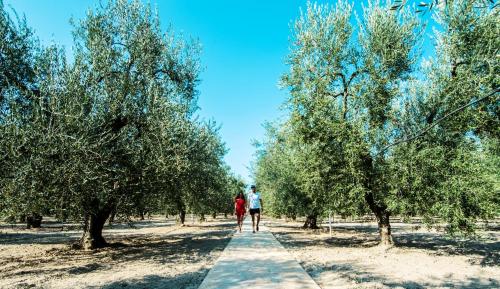 Giardino Degli Ulivi Resort Masseria