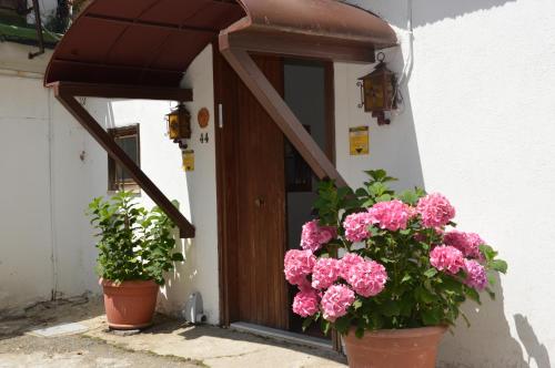 La casa nel bosco