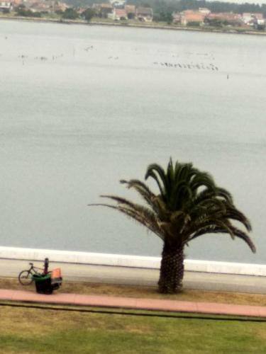  Casa Das Riscas Verdes in Gafanha da Encarnação