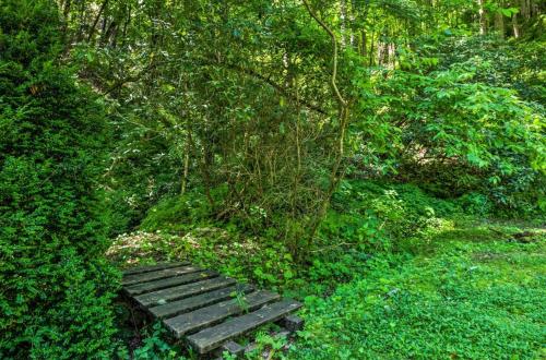 Silvermine Hideaway Cabin