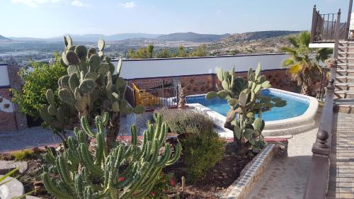 สวน, La Casona Azul Bed n Breakfast in ซานมิเกล เด อัลเลนเด
