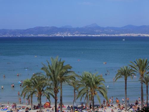 whala!beach - image 8
