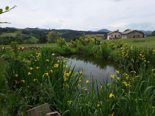 Le Suc du Pommier