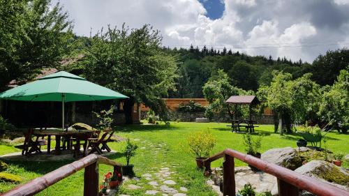 Aed, Casa Bunicului in Vistisoara