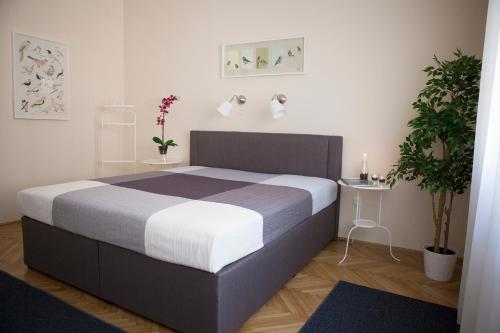 Synagogue View Apartment, Budapest (photo 5)