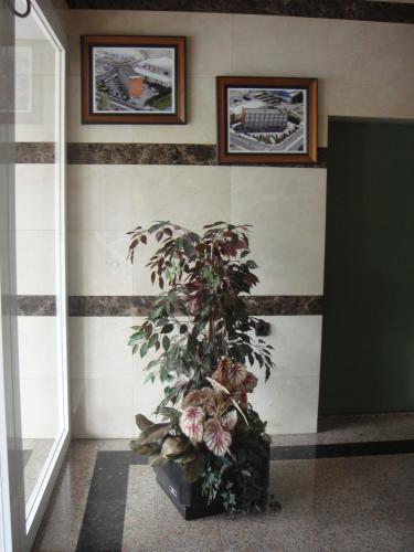 บริการและสิ่งอำนวยความสะดวก, Hostal Serpol in พาเลนเซีย