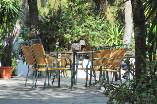 The Delfini Hotel - image 10