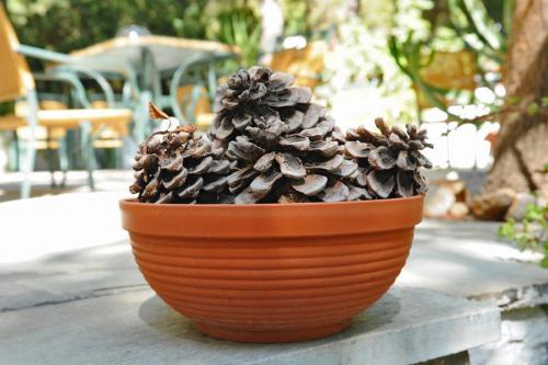 The Delfini Hotel - image 5