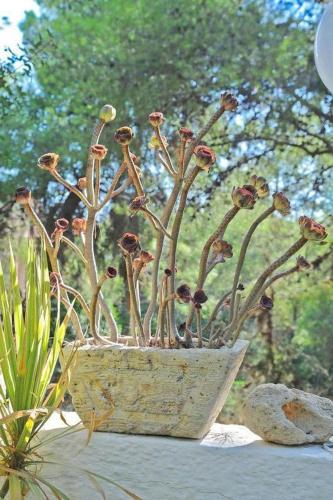 The Delfini Hotel - image 14