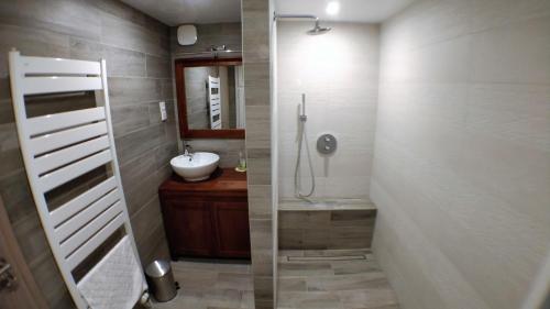 Maison des écluses Strasbourg F3 90m2 Jacuzzi Climatisation, Štrasburk (fotografie 6)