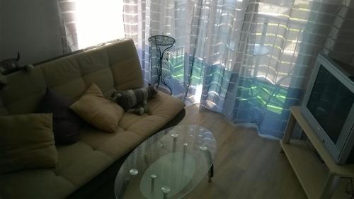 2 kambarių apartamentai naujos statybos namų komplekse Malūno vilos - image 3