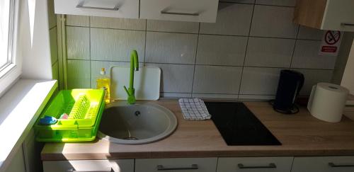 Apartment Petra in Slatina