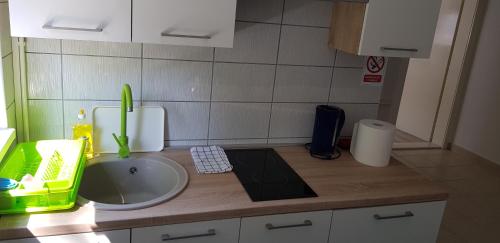 Apartment Petra in Slatina