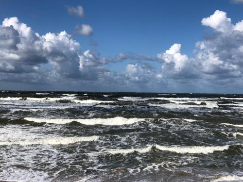 Provincija - image 12