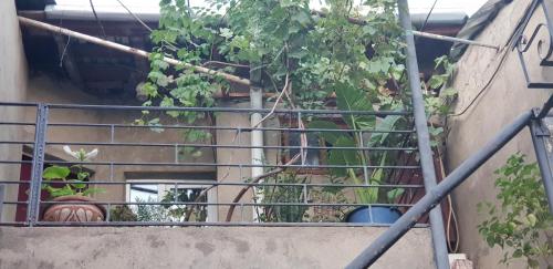 2 Santeli Turn Guest House
