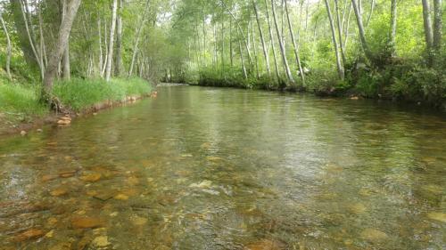 Chalet en el Orbigo