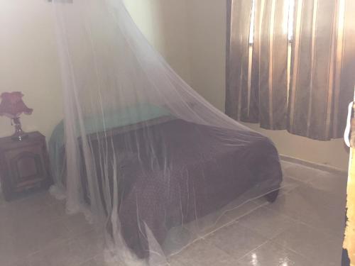 Palm Guest House