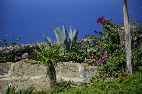 kammamia, Pantelleria (fotografie 5)