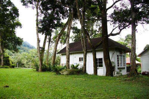 Hemerocallis Country House - Xuancao Forest Homestay - 주변 환경
