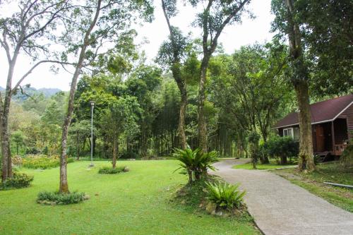 Hemerocallis Country House - Xuancao Forest Homestay
