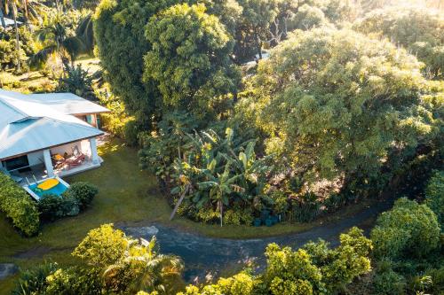 Mango Cottage with AC, Unlimited Wifi and Private pool, Rarotonga (zdjęcie 6)