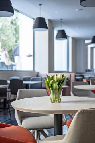 EXE Liberdade - image 12