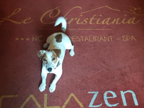 Le Christiania Hotel & Spa - image 13