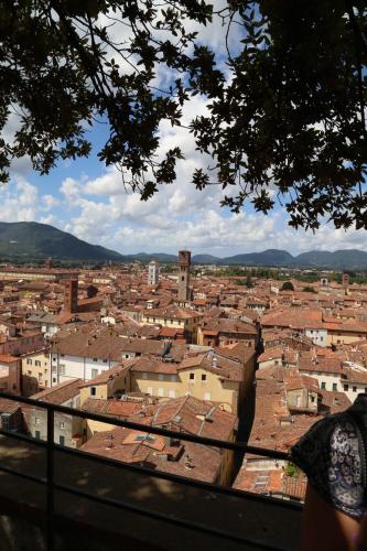 Perle d'Ambra - image 14