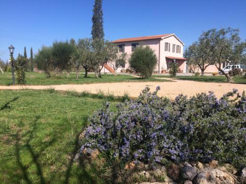 Agriturismo La Facenda - Civitavecchia