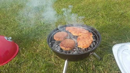 Bwlcheinion Sea View Glamping