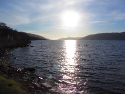 Morag's Lodge - image 13
