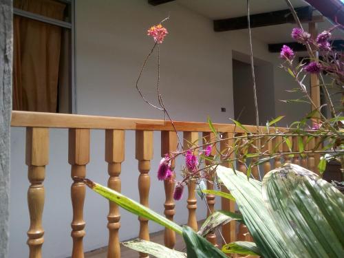 Viesnīcas āriene, Healthy Stay Gocta in Valera